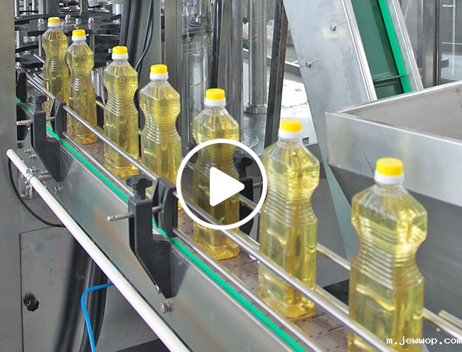 10000B/H 食用油taptap的客服视频